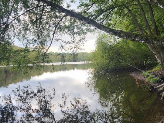 Bredenbeker Teich