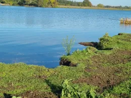 Alsensee (Moorreger Freibad)-1