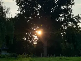 Alsensee (Moorreger Freibad)-4