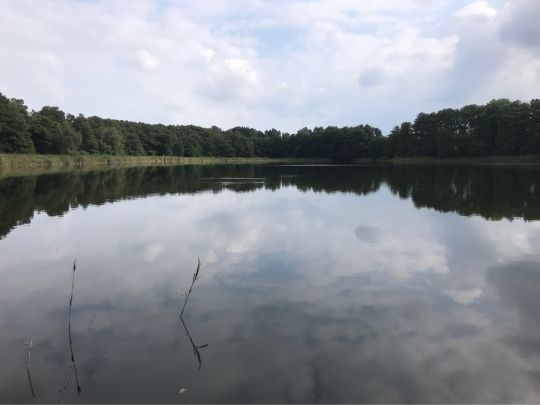 Muchelwitzer See (Pinnow)-4