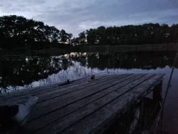 Muchelwitzer See (Pinnow)-3