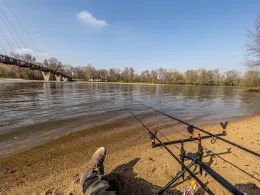 Alte Elbe (Magdeburg)