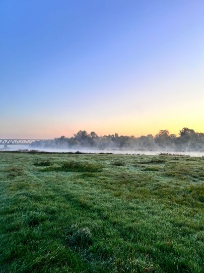 Alte Elbe (Magdeburg)-4