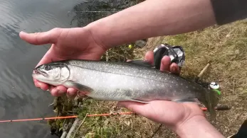 Vorsperre Deesbach-1