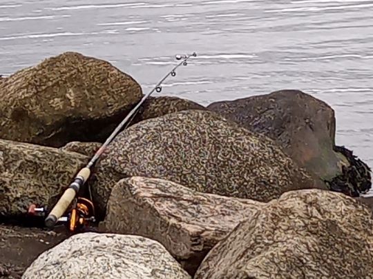 Flensburger Förde (Mürwik)-3