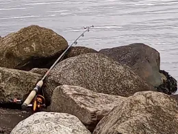 Flensburger Förde (Mürwik)-3