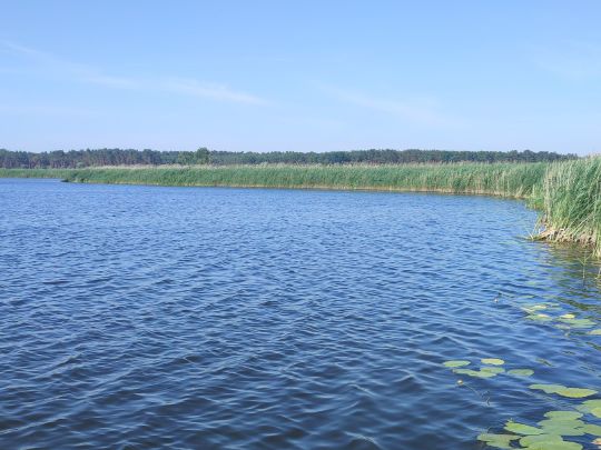 Großer Rossower See-1