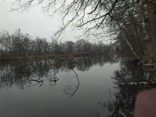 Torfstiche Kotzen