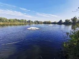 Börnchen (Bauschheim)