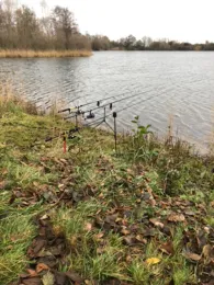 Börnchen (Bauschheim)-2