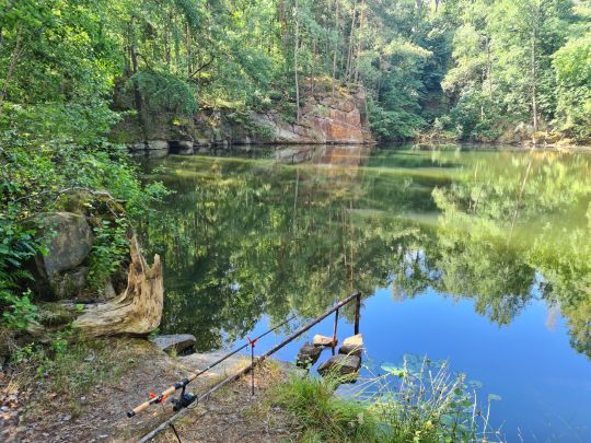 Steinbruch Klemm (Bischheim)