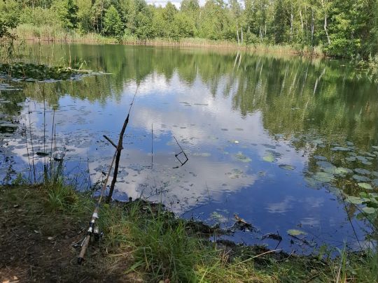 Hartmanns Tongruben-2