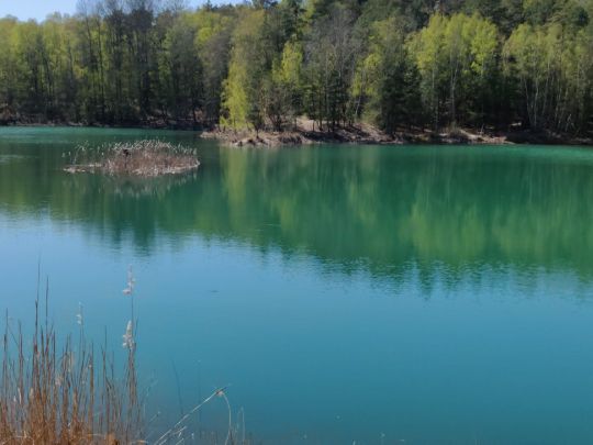 Hartmanns Tongruben-1