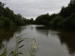 See am Siel (Aschwarden)-2