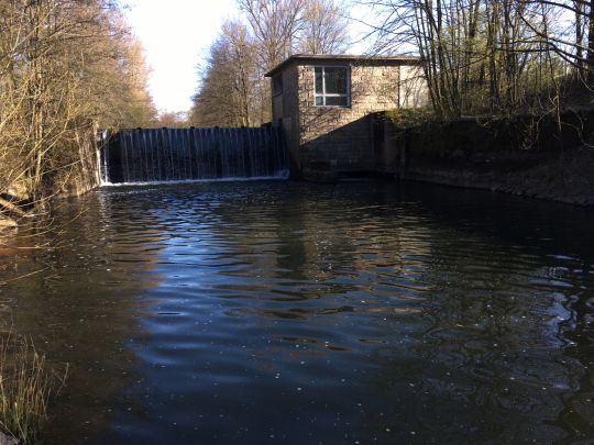 Selbitz (Naila-Selbitz)-3