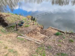 Torfgrube (Altmittweida)-1