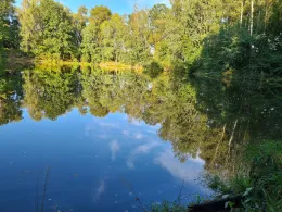 Torfgrube (Altmittweida)