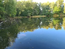 Torfgrube (Altmittweida)-3