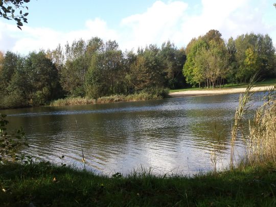 Inselsee (Scharnebeck) angeln
