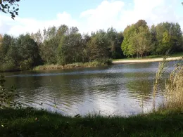 Inselsee (Scharnebeck)-3