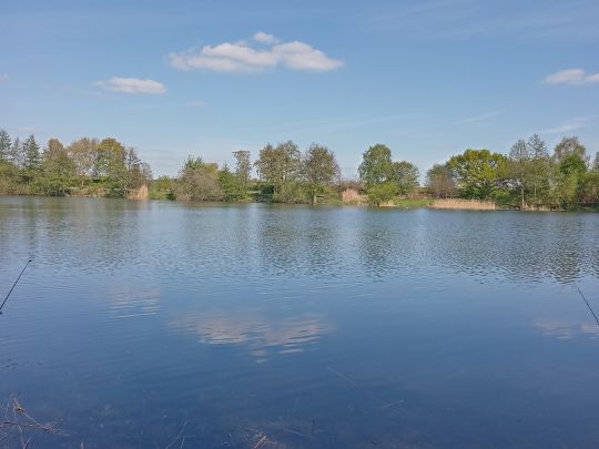 Inselsee (Scharnebeck)-2