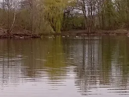 Inselsee (Scharnebeck)-4