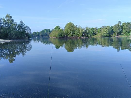 Inselsee (Scharnebeck)-1