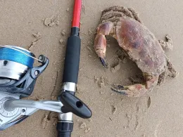 Nordsee (Zoutelande)-2