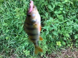 Feuerlöschteich Möbel Erbe-2