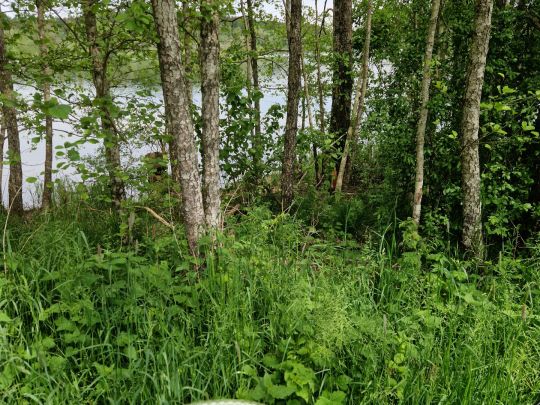 Schwackenreuter Seen