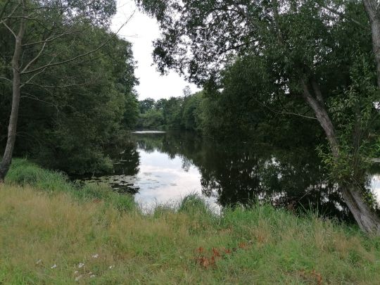 Riesenfoot (Bramsche)-4