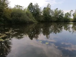 Riesenfoot (Bramsche)-3