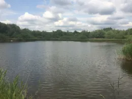 Gemeindeteich Fitzen-1