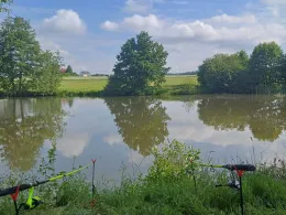 Beckenweiher (Reuth)