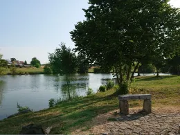 Beckenweiher (Reuth)-1