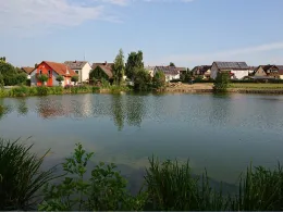 Beckenweiher (Reuth)-2