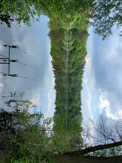 Bentheimer See (Haddorf)-0