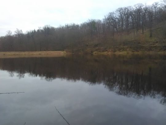Großer Dachsteich (Ballenstedt) angeln