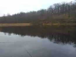 Großer Dachsteich (Ballenstedt)-3