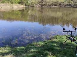 Großer Dachsteich (Ballenstedt)-1