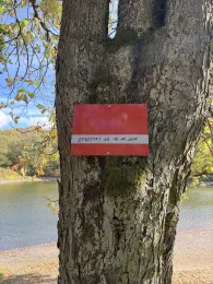 Großer Dachsteich (Ballenstedt)-3