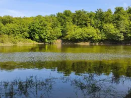 Großer Dachsteich (Ballenstedt)-2