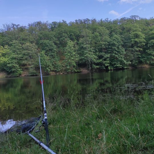 Großer Dachsteich (Ballenstedt)