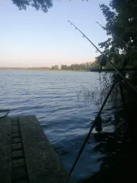 Feisnecksee