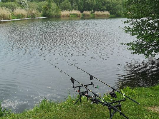 Vereinsteich ASV Hecht Untersuhl-0