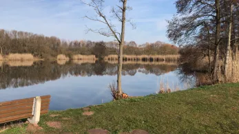 Vereinsteich ASV Hecht Untersuhl