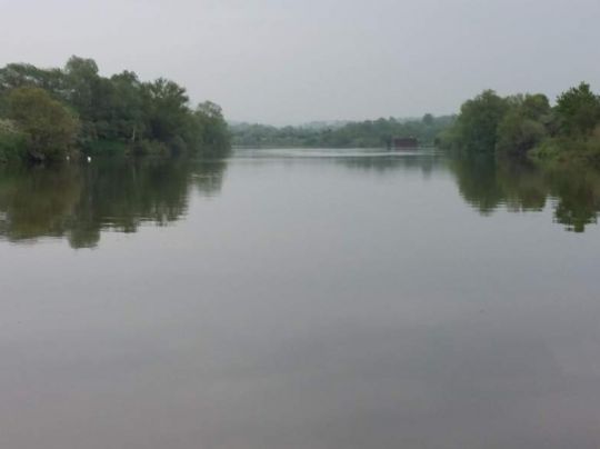 Mosel (Cattenom) angeln