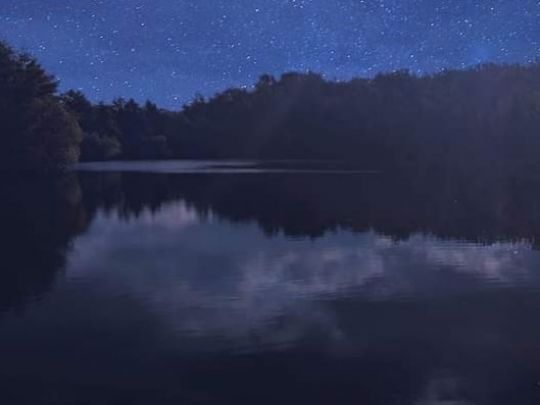 Schwimmbachteiche (Georgenthal)-1