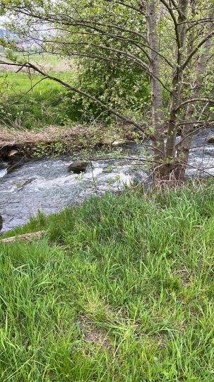 Schunter (Hattorf)-1