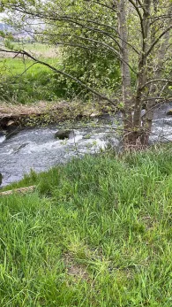 Schunter (Hattorf)-1